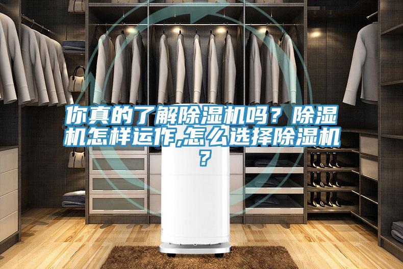 你真的了解除濕機(jī)嗎？除濕機(jī)怎樣運(yùn)作,怎么選擇除濕機(jī)？