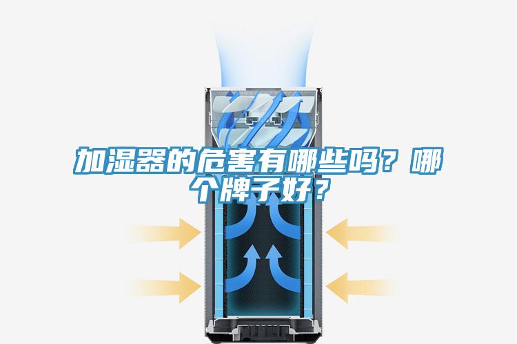 加濕器的危害有哪些嗎？哪個(gè)牌子好？