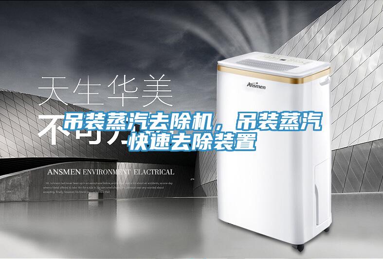 吊裝蒸汽去除機(jī)，吊裝蒸汽快速去除裝置