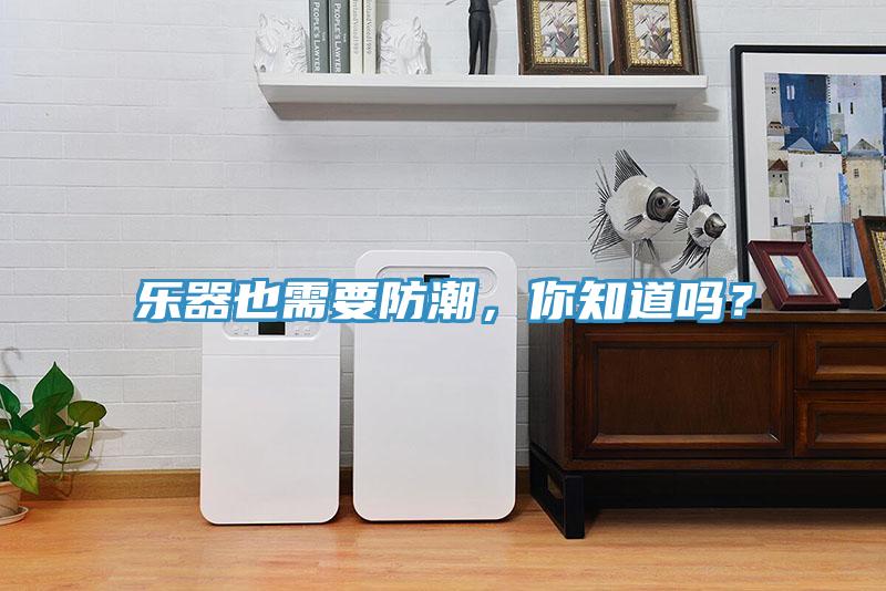 樂器也需要防潮，你知道嗎？