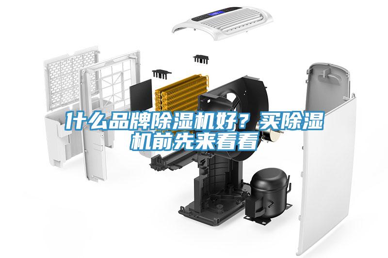 什么品牌除濕機(jī)好？買除濕機(jī)前先來看看