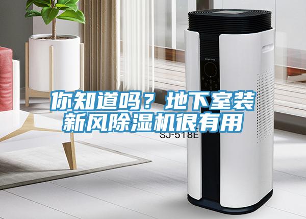 你知道嗎？地下室裝新風(fēng)除濕機(jī)很有用