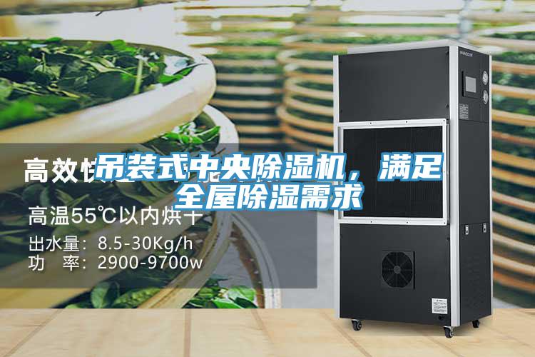 吊裝式中央除濕機，滿足全屋除濕需求