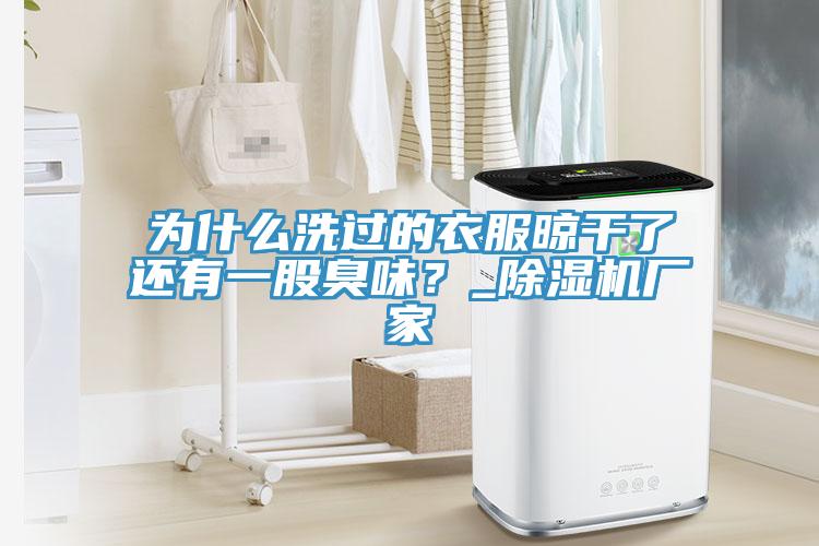 為什么洗過的衣服晾干了還有一股臭味？_除濕機廠家