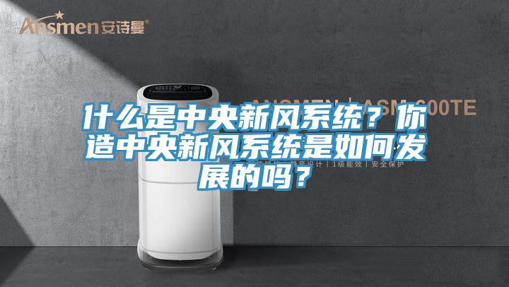 什么是中央新風系統(tǒng)？你造中央新風系統(tǒng)是如何發(fā)展的嗎？