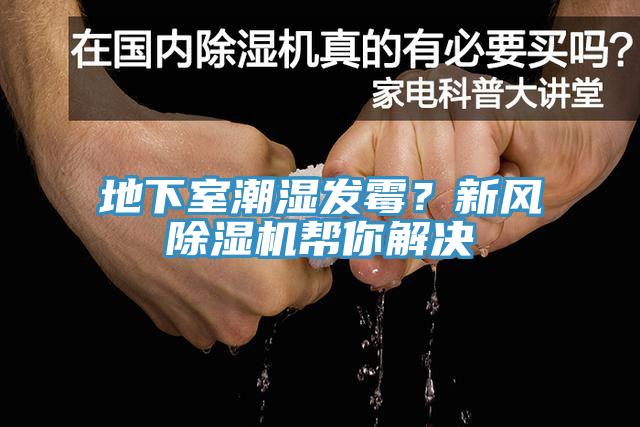 地下室潮濕發(fā)霉？新風(fēng)除濕機(jī)幫你解決