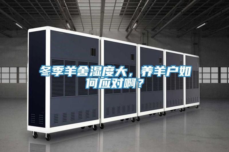 冬季羊舍濕度大，養(yǎng)羊戶如何應(yīng)對(duì)??？