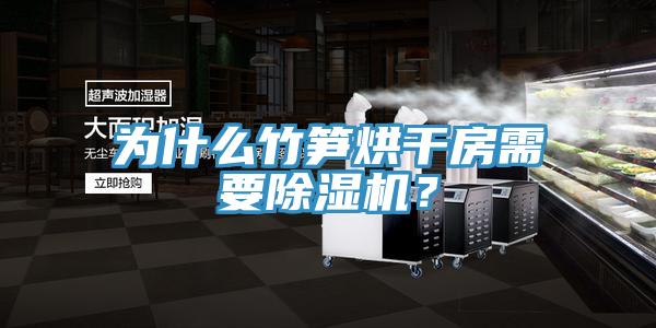 為什么竹筍烘干房需要除濕機？