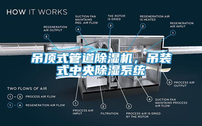 吊頂式管道除濕機(jī)，吊裝式中央除濕系統(tǒng)