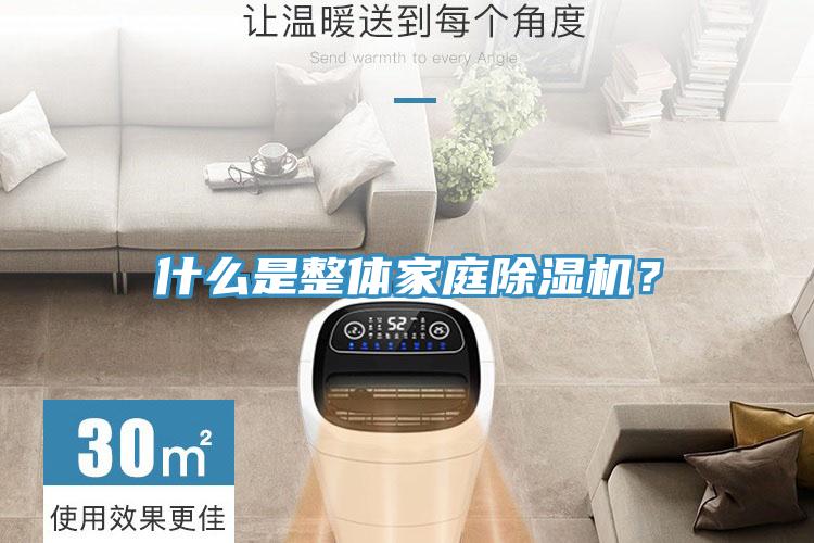 什么是整體家庭除濕機？