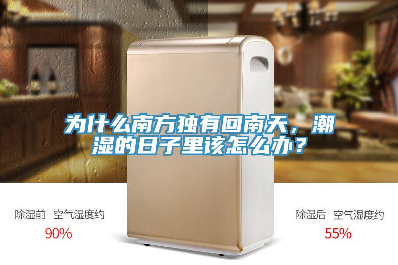 為什么南方獨有回南天，潮濕的日子里該怎么辦？