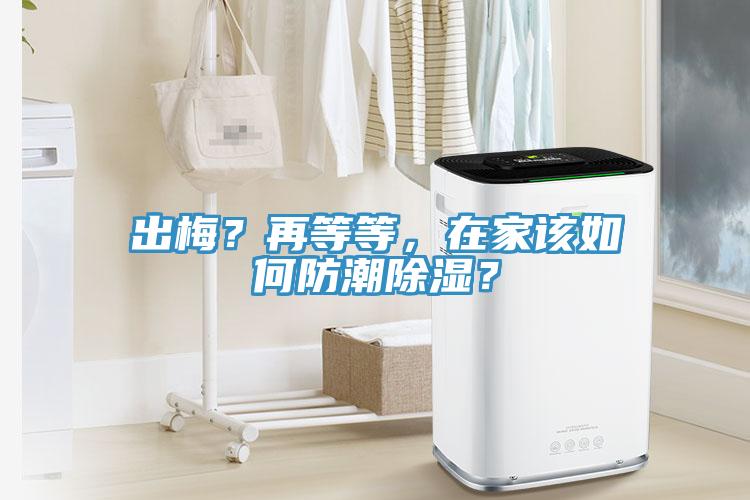 出梅？再等等，在家該如何防潮除濕？