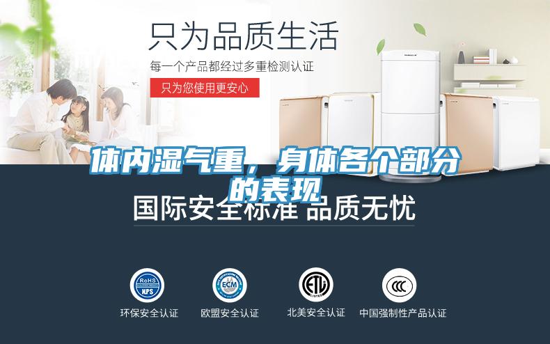 體內(nèi)濕氣重，身體各個部分的表現(xiàn)