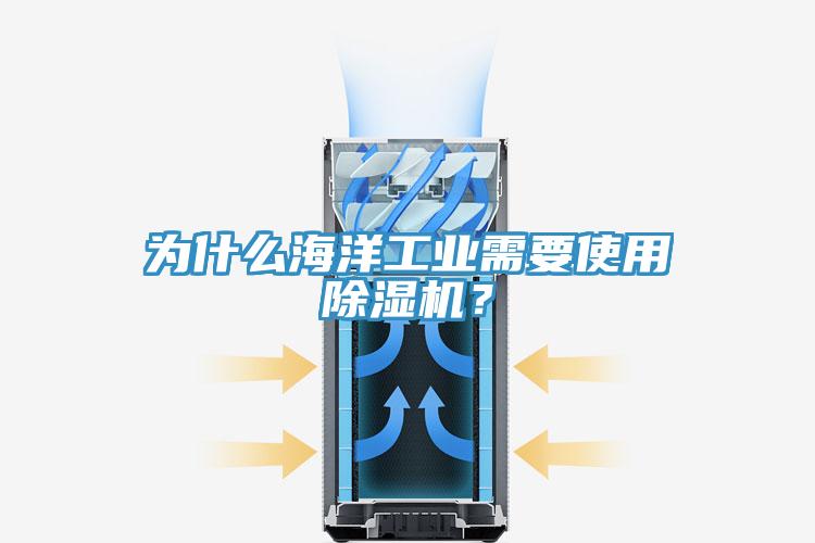 為什么海洋工業(yè)需要使用除濕機？