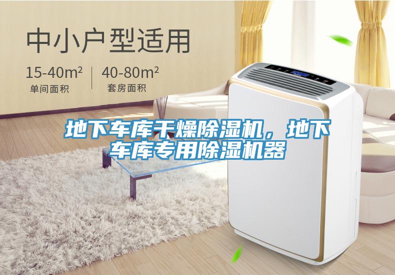 地下車庫(kù)干燥除濕機(jī)，地下車庫(kù)專用除濕機(jī)器