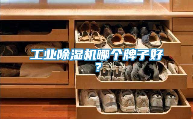 工業(yè)除濕機(jī)哪個(gè)牌子好？