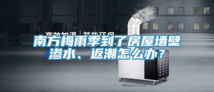 南方梅雨季到了房屋墻壁滲水、返潮怎么辦？