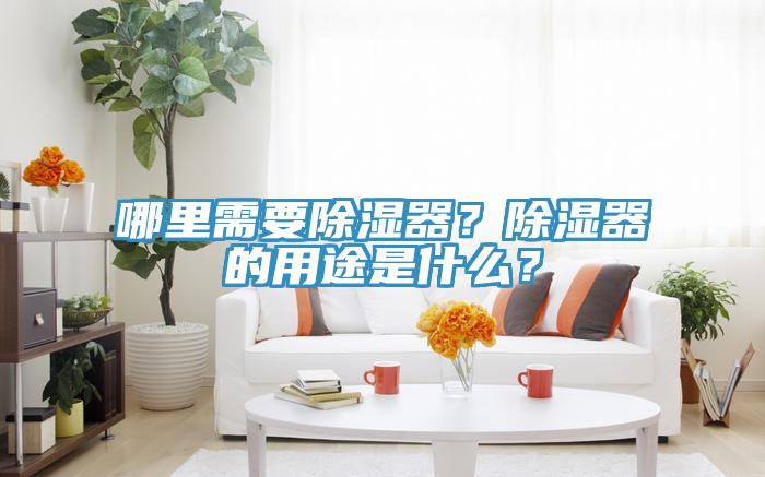 哪里需要除濕器？除濕器的用途是什么？