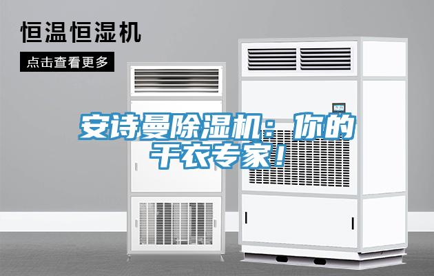 安詩曼除濕機(jī)：你的干衣專家！