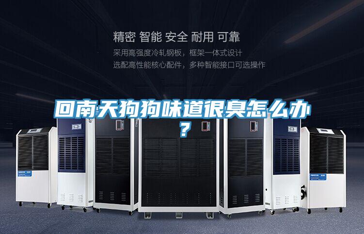 回南天狗狗味道很臭怎么辦？