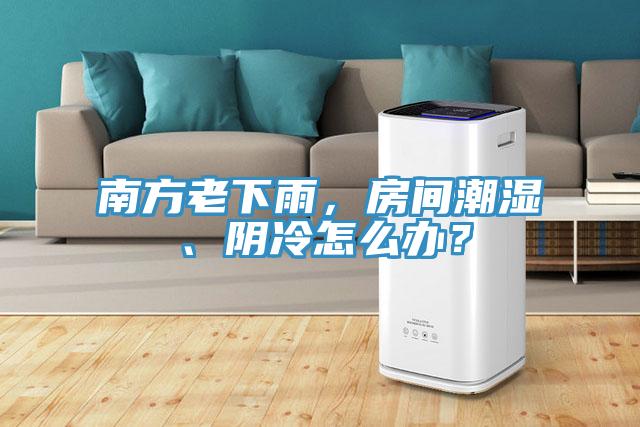 南方老下雨，房間潮濕、陰冷怎么辦？