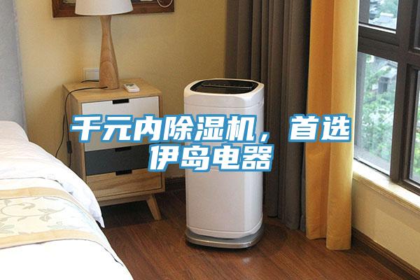 千元內(nèi)除濕機(jī)，首選伊島電器