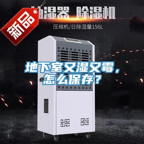 地下室又濕又霉，怎么保存？