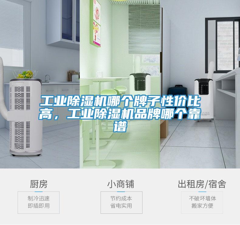 工業(yè)除濕機(jī)哪個(gè)牌子性價(jià)比高，工業(yè)除濕機(jī)品牌哪個(gè)靠譜
