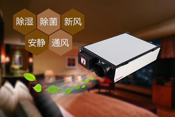 廈門除濕機怎么選？