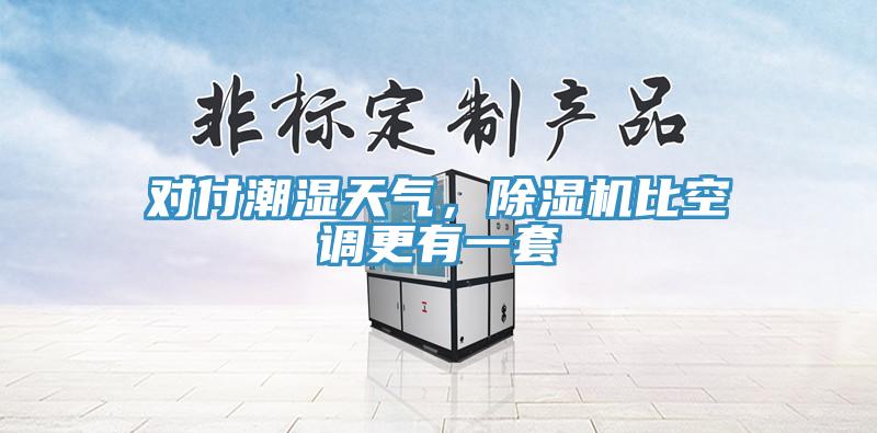 對(duì)付潮濕天氣，除濕機(jī)比空調(diào)更有一套