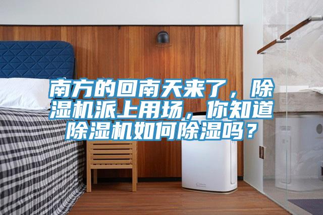 南方的回南天來(lái)了，除濕機(jī)派上用場(chǎng)，你知道除濕機(jī)如何除濕嗎？