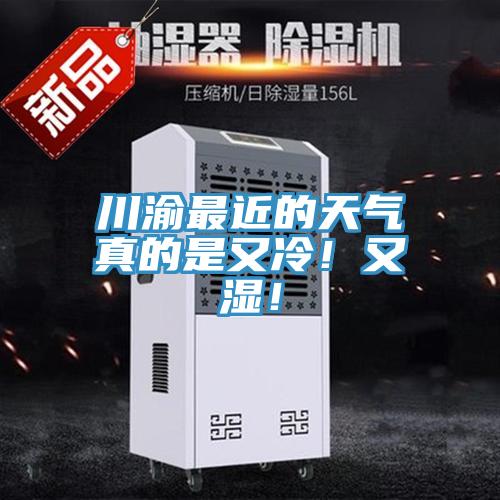 川渝最近的天氣真的是又冷！又濕！