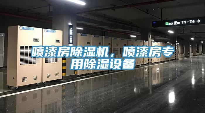 噴漆房除濕機(jī)，噴漆房專用除濕設(shè)備