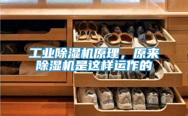 工業(yè)除濕機(jī)原理，原來(lái)除濕機(jī)是這樣運(yùn)作的