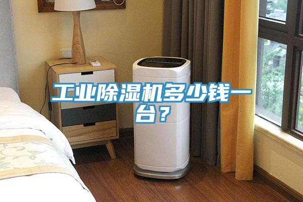 工業(yè)除濕機(jī)多少錢一臺？