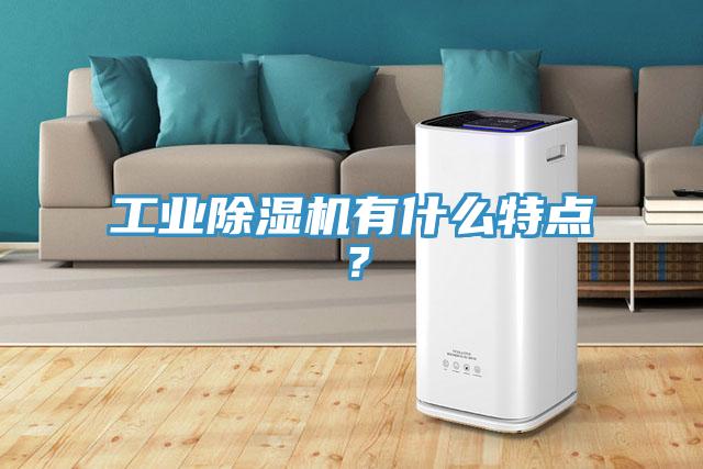 工業(yè)除濕機(jī)有什么特點(diǎn)？