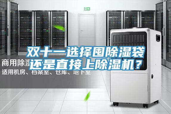 雙十一選擇囤除濕袋還是直接上除濕機？