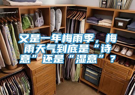 又是一年梅雨季，梅雨天氣到底是“詩意”還是“濕意”？