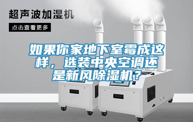 如果你家地下室霉成這樣，選裝中央空調(diào)還是新風(fēng)除濕機(jī)？