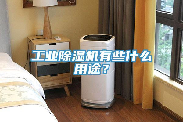 工業(yè)除濕機有些什么用途？