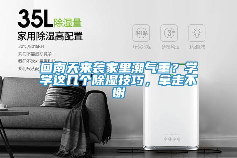 回南天來襲家里潮氣重？學學這幾個除濕技巧，拿走不謝