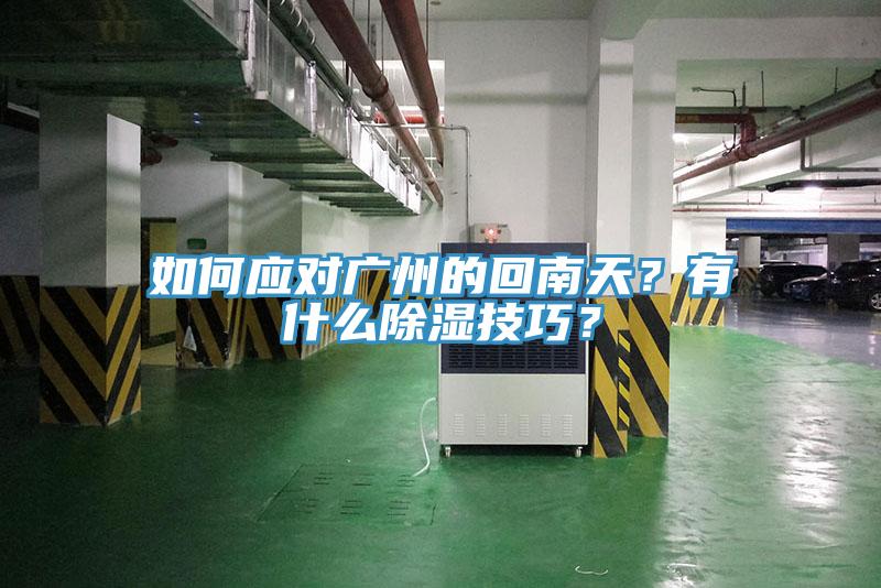 如何應(yīng)對廣州的回南天？有什么除濕技巧？
