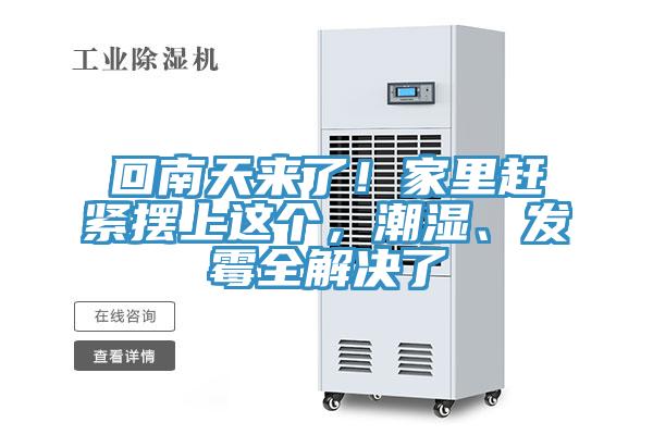 回南天來了！家里趕緊擺上這個(gè)，潮濕、發(fā)霉全解決了
