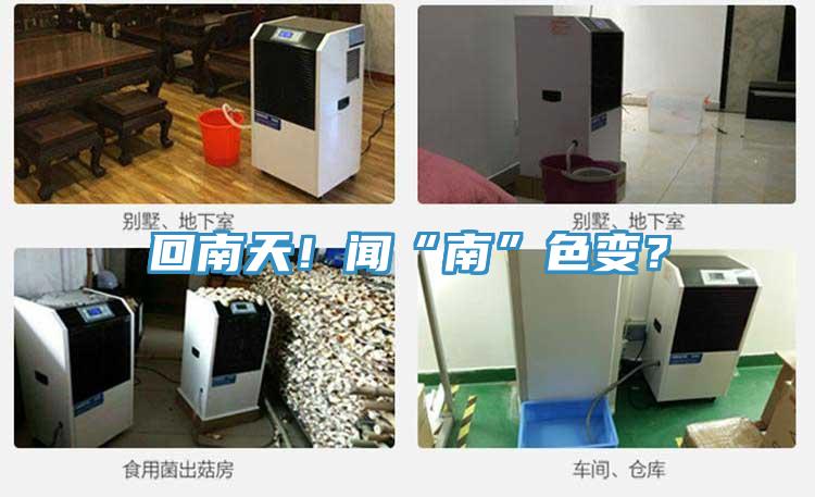 回南天！聞“南”色變？