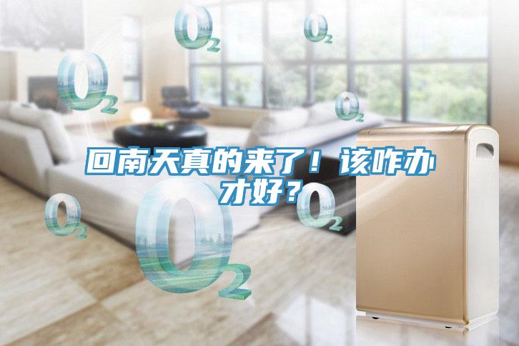 回南天真的來了！該咋辦才好？
