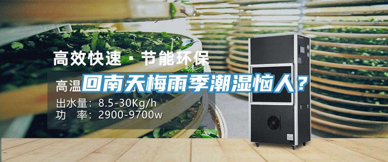 回南天梅雨季潮濕惱人？