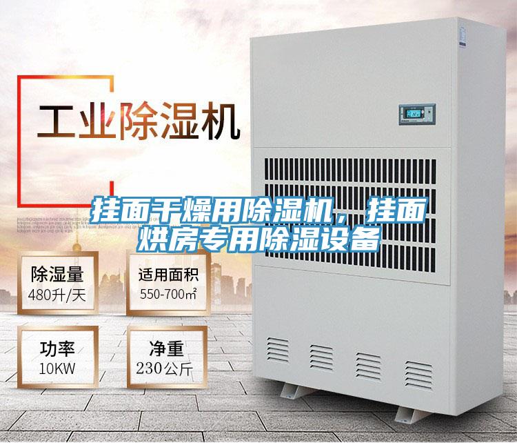 掛面干燥用除濕機(jī)，掛面烘房專用除濕設(shè)備