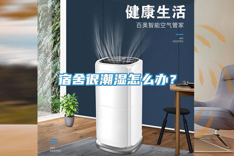 宿舍很潮濕怎么辦？
