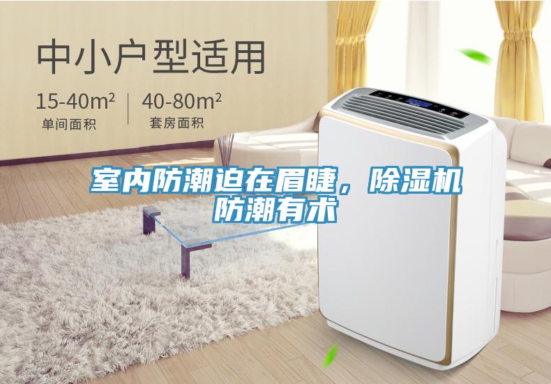 室內(nèi)防潮迫在眉睫，除濕機(jī)防潮有術(shù)