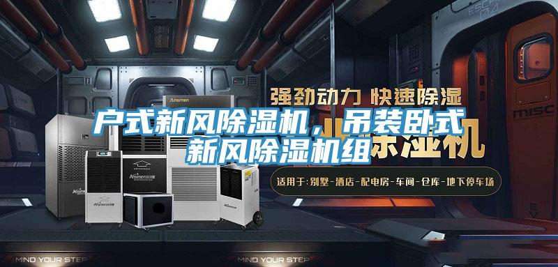 戶式新風(fēng)除濕機(jī)，吊裝臥式新風(fēng)除濕機(jī)組